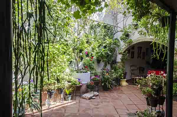 Córdoba 170 - barrio san Basilio - Patios del Alcazar Viejo - calle Duartas 2.jpg